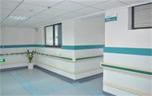 走廊140扶手+护墙板组合图